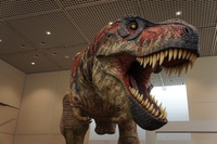 お台場に福井の恐竜出現…2024年3月、フジテレビ本社で「博覧会」　北陸新幹線開業合わせ来県呼び掛け