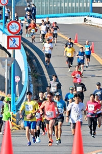 菊花マラソン2023は11月3日号砲、2269人エントリー　福井県越前市街地や日野川沿い駆ける
