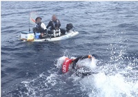 沈没しかけたミニボートから救助要請…到着した海上保安官を唖然とさせた光景　「浮力の原理」無視かい！【敦賀海保日誌】