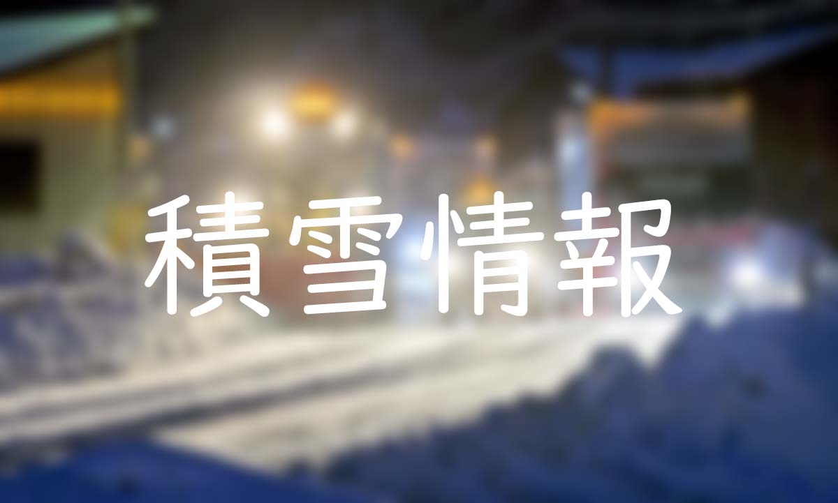 新潟 県 降雪 予報