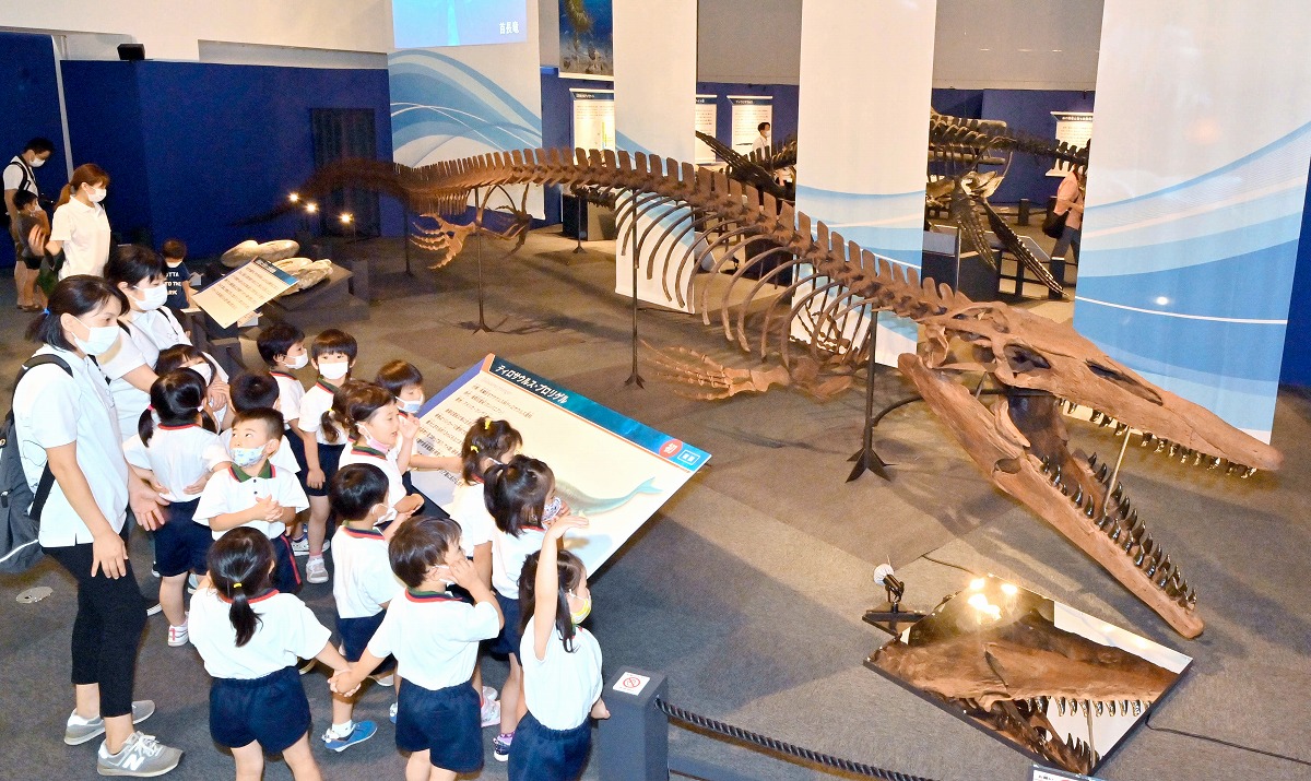 福井県立恐竜博物館「海竜展」全国から延長求める声　開催期間2022年1月10日まで延長