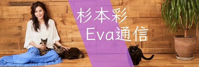 杉本彩のEva通信 犬や猫、ペット　動物たちの今