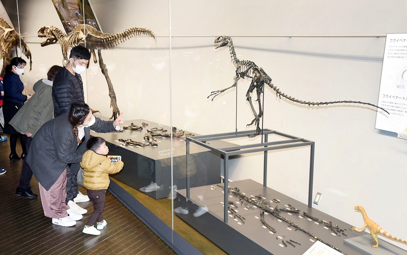 「福井県の恐竜」10年ぶり大幅更新
