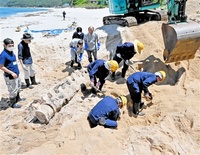 ２０年に美浜漂着、砂浜埋設　ナガスクジラの骨採掘　県恐竜博など　希少標本収蔵へ