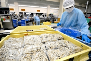 出荷が最盛期を迎えた年越しそば用の生そば＝１２月２７日、福井県越前市真柄町の武生製麺
