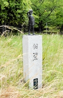 雑草に覆われた旧県道沿いに立つ少年像＝福井県おおい町の大島半島