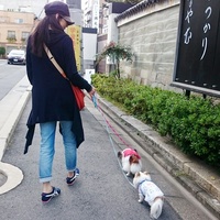 ペットと散歩中の杉本彩さん