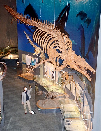 博物館 予約 恐竜
