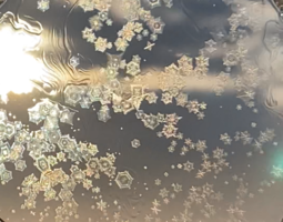 薄い膜に次々と結晶が見られたシャボン玉＝1月25日朝、福井県大野市内
