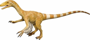 フクイベナートルの生体復元模型（荒木一成さん制作、福井県立恐竜博物館提供）