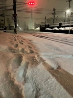 2月6日午前5時までの24時間で20センチの降雪があった福井県福井市内＝6日午前5時半ごろ