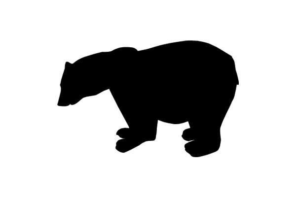 【クマ目撃情報】10月25日　永平寺町石上で熊の目撃
