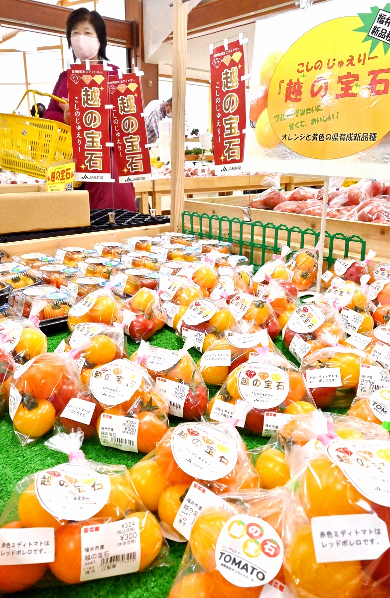 まるでフルーツのような福井県の新ブランドトマト「越の宝石」発売、糖度1.5倍