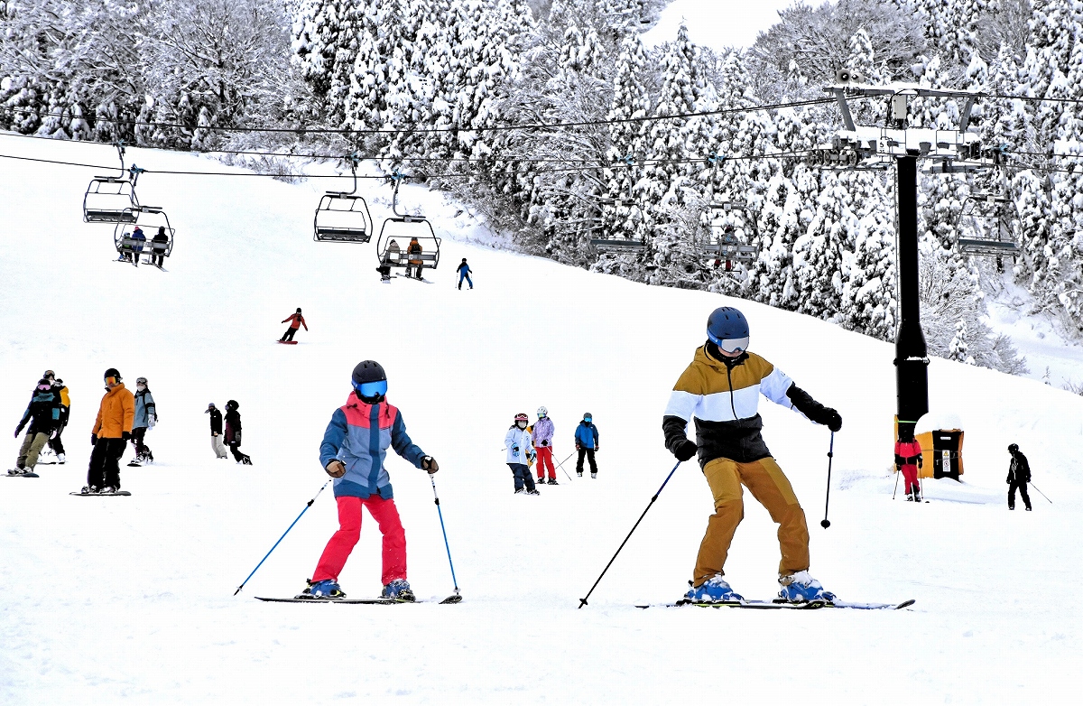 福井県内スキー場、平日リフト券が半額 スキージャム勝山など計5カ所