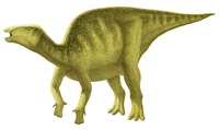 国内最古級「イグアノドン類」化石発見　福井県立恐竜博物館発表　徳島県の1億3千万年前の地層から