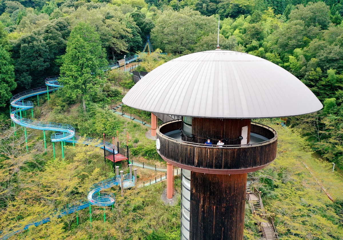テーマパーク「きのこの森」の1番大きなキノコ　福井県おおい町、ドローンで激写　ふくい写景