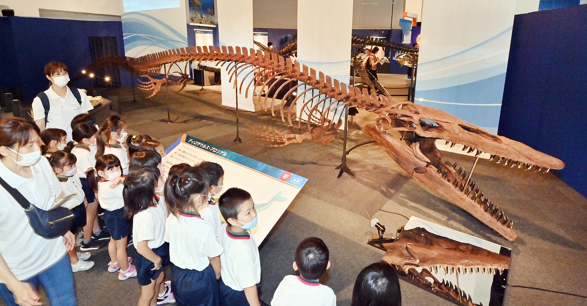 福井県立恐竜博物館で「海竜」開幕　絶滅した海生爬虫類の化石など80点