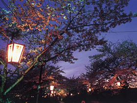 桜が咲き誇り、歴史・文化の薫り高い市民の憩いの場